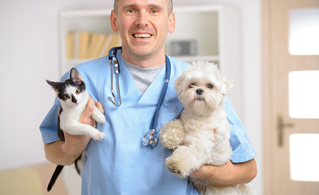 Ветеринар с животными