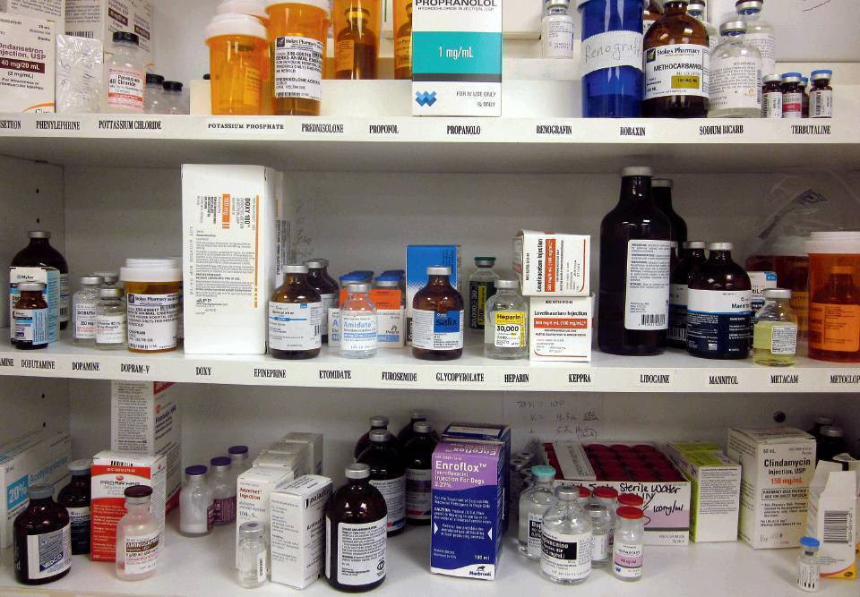 Хранение лекарственных средств. Полки с лекарствами. Стеллажи для ветеринарных препаратов. Лекарственные средства в аптеке.