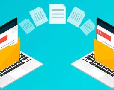 Перейти с другой программы на Ветменеджер с сохранением данных теперь реально!