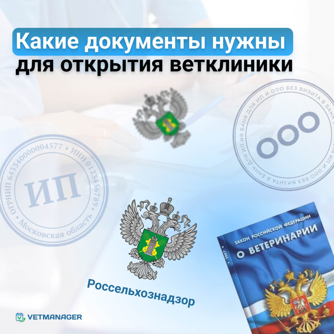 Как открыть ветеринарную клинику с нуля за 9 шагов - Начать свой  ветеринарный бизнес в 2024 году